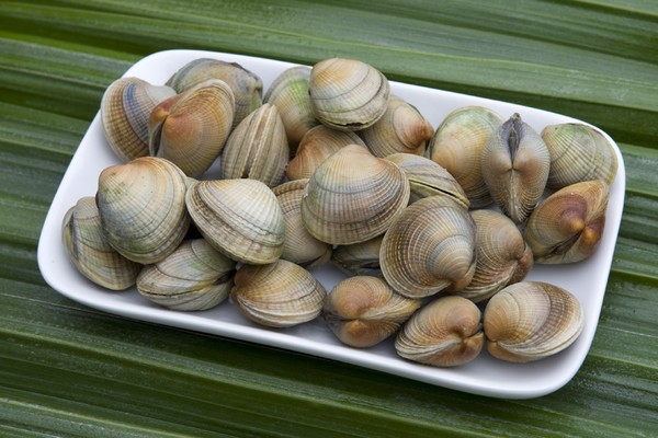 Coclles on flax